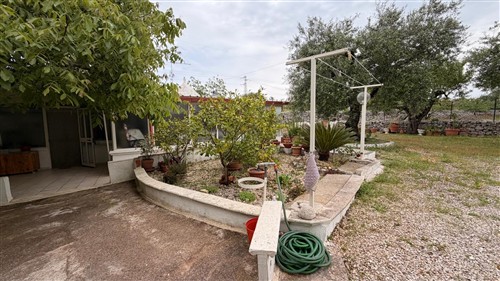 Trullo Con Alcove Con Bagno e Angolo Cottura.Terreno di 4.000 mq.